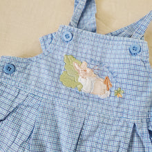 Load image into Gallery viewer, Y2k Peter Pan Shortalls 0-3 months
