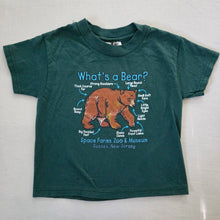 Load image into Gallery viewer, Vintage &quot;What&#39;s a Bear?&quot; Green Tee 2t/3t
