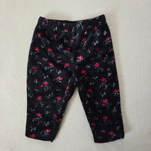 Load image into Gallery viewer, Vintage Oshkosh Velvet Floral Pants 3-6 months
