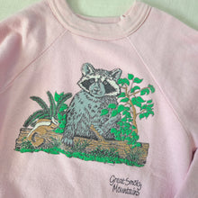 Load image into Gallery viewer, Vintage Great Smoky Mountains Pink Crewneck kids 8/10
