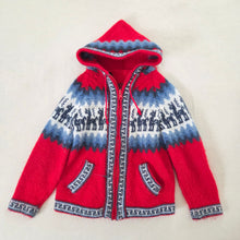 Load image into Gallery viewer, Alpaca Wool Zip-up Hoodie Sweater 3t
