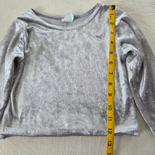 Load image into Gallery viewer, Vintage Silver Crushed Velvet Long Sleeve 2t
