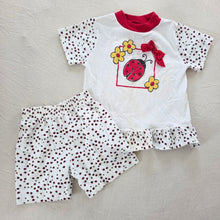 Load image into Gallery viewer, Vintage Ladybug Matching Set 3t/4t
