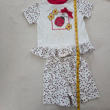 Load image into Gallery viewer, Vintage Ladybug Matching Set 3t/4t
