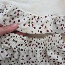 Load image into Gallery viewer, Vintage Ladybug Matching Set 3t/4t
