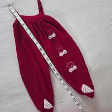 Load image into Gallery viewer, Vintage Animals Embroidered Knit Pantsuit 3-6 months
