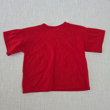 Load image into Gallery viewer, Vintage Zoodles Rainbow Bike Tee 2t
