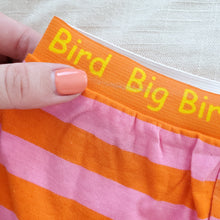 Load image into Gallery viewer, Vintavge Sesame Street Big Bird Short Shorts 18 months/3t
