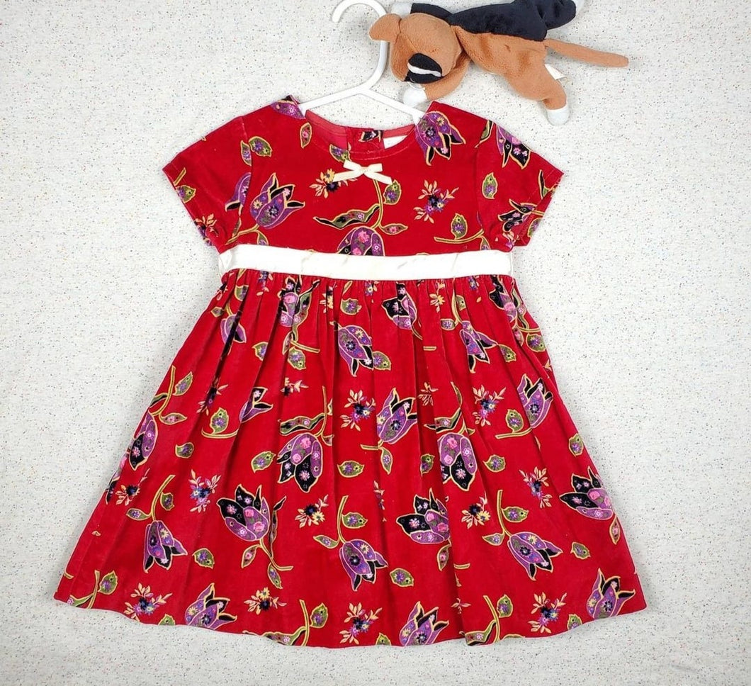 Vintage Floral Velvety Dress 2t/3t